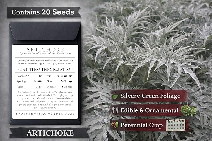 Gothic Garden Seed Collection, 6 Open-Pollinated Flower & Foliage Varieties