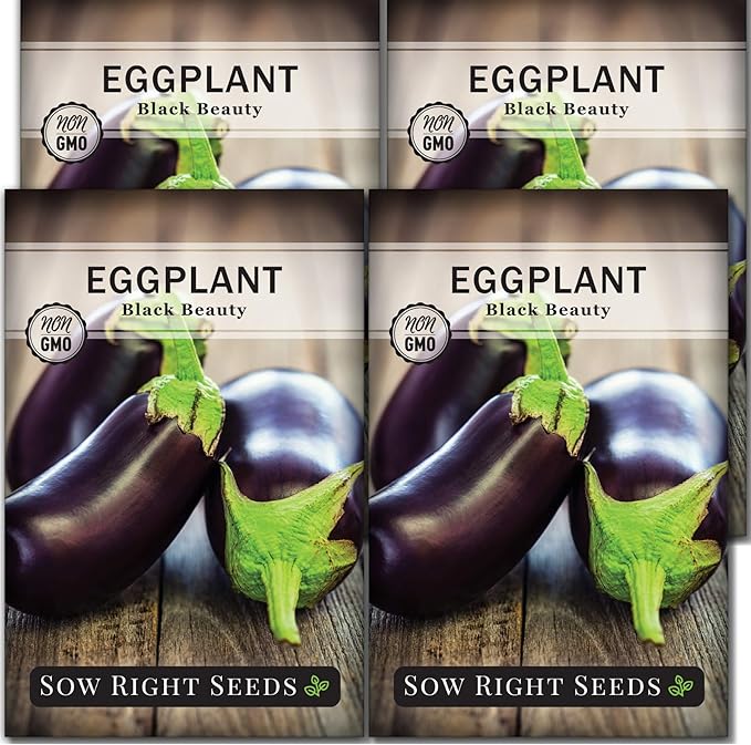 Sow Right Seeds - Black Beauty Eggplant Seed for Planting - Non-GMO Heirloom Packet with Instructions to Plant an Outdoor Home Vegetable Garden - Large Round Fruits, Deep Purple Variety (4)