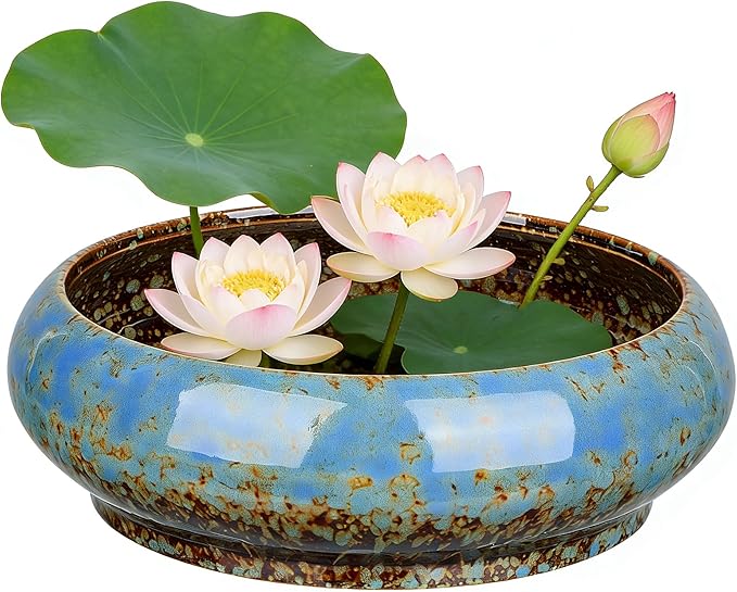GANAZONO Large Garden Bowl Planter Water Plant Pot Water Lily Pots Hydroponic Planter Bonsai Pots Garden Decorative Cactus Stand Flower Container Daffodil Pot Bowl (Random Color)