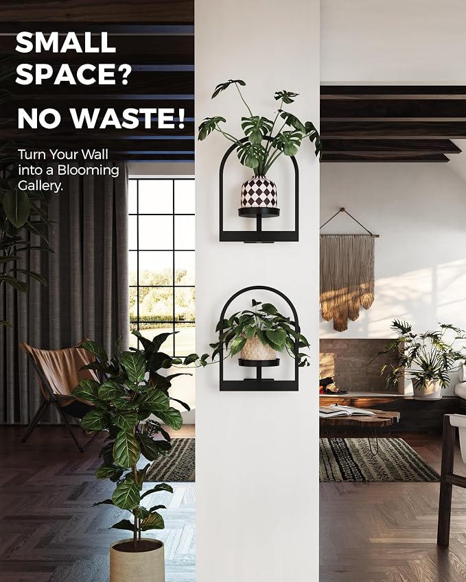 Bamworld Wall Plant Holder Plant Stand Indoor Wall Planters Round | Wall Planters for Indoor Plants Window Plant Shelves Plant Holder Wall Decor, Room Decor 2 Pack (Patent Design)