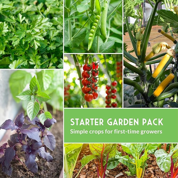 Easy to Grow Vegetable & Herb Seed Collection - 10 Packs of Non-GMO Heirloom Open-Pollinated Veg & Herb Essentials for Gardening Beginners - Seed Saver Instructions on Packets - Survival Garden Seeds