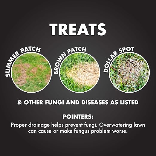 Spectracide Immunox Fungus Plus Insect Control For Lawns 32 Ounces, Dual Action, Hose-End Concentrate, 6 Pack