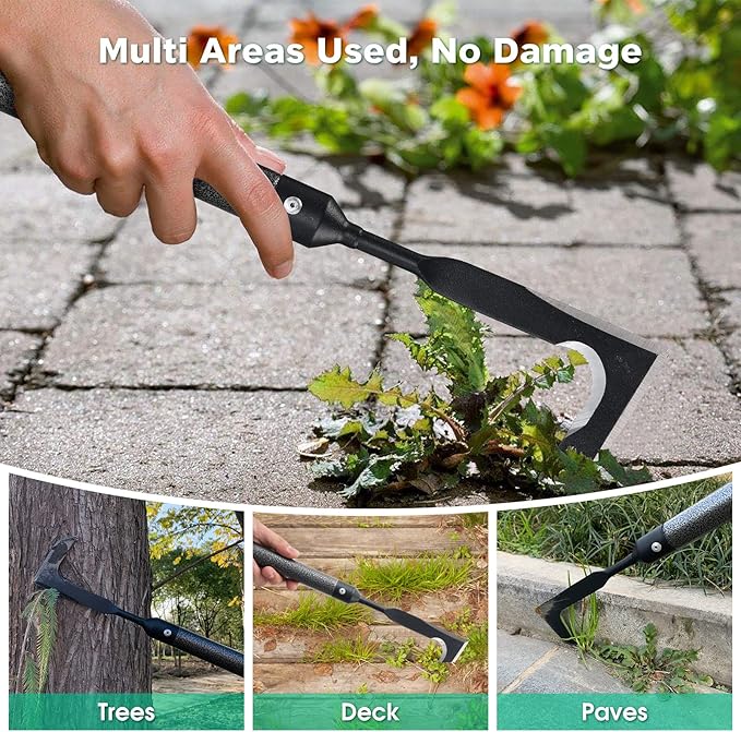 Lilyvane Crack Weeder for Crevice Weeds Weeding: 74” Long Handle, Heavy Duty Carbon Steel Weed Puller for Sidewalk Paver Deck Boards Weed Removal