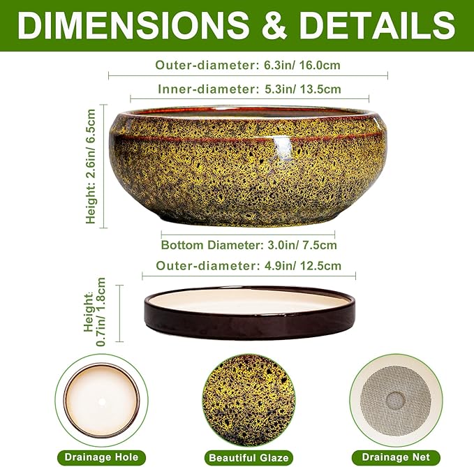 Small Bonsai Pots - 6 Inch Ceramic Succulent Planters with Drainage Hole and Saucer, Shallow Round Planter Indoor Outdoor, Cactus Succulent Pots, Living Room Decor, Plant Lover Gift, Yellow