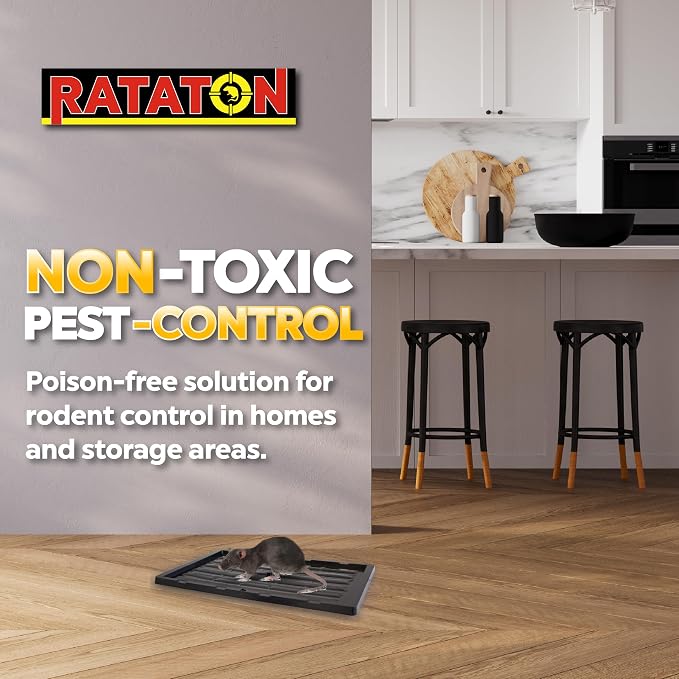 Glue trap for rats and mice, for extra large animals, without poison, non-toxic, you can release the animal just apply cooking oil. Easy to use indoor and outdoor use, Safe for people and pets