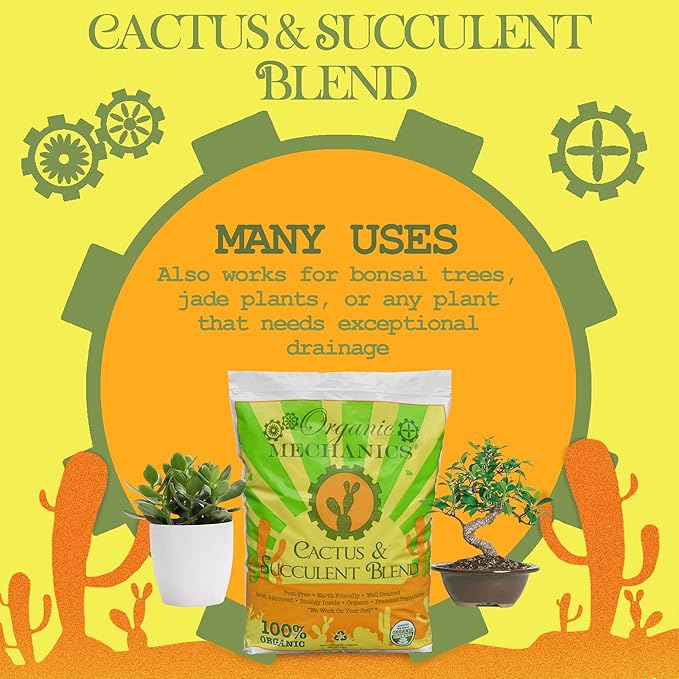 Organic Mechanics Cactus and Succulent Blend Potting Soil, 2 qt (Pack of 10) – Well-Drained Organic Mix – Enhances Plant and Root Growth with Biochar, Rice Hulls, and Worm Castings