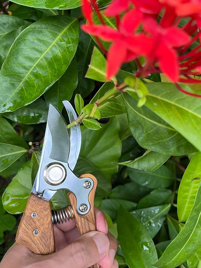 Garden Pruning Shears, Floral wire cutter, German Stainless Steel Blades, 1 inch Cut Capacity, Garden Snips for flowers with Non-Slip Handle, Lightweight & Ergonomic Professional