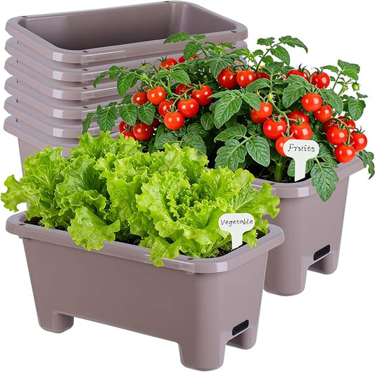 Oliz Self-Watering Rectangle Planter Boxes 8-Pack, 15.7-Inch Window Box Planter with Drainage Holes & Trays, Pots for Vegetables, Herbs, Flowers, Garden Windowsill Balcony (Coffee)