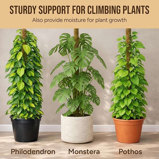 Craft911 Moss Pole Monstera Plant Support – 2 Pack 64” Bendable Moss Pole Monstera Plant Support, Plant Stakes for Indoor Plants, Tall Plant Sticks Support for Climbing Plants