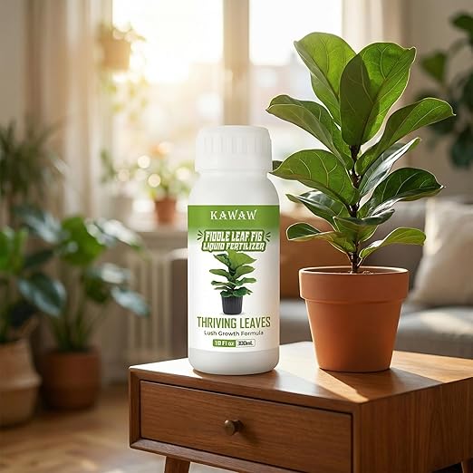10oz Fiddle Leaf Fig Fertilizer Liquid - Organic Microbial Probiotic Plant Food for Ficus Lyrata - Promotes Roots & Greener Leaves