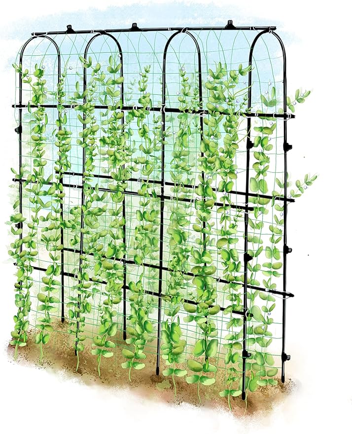6 ft Tall, Garden Trellis for Climbing Plants Outdoor with Nylon Net for Cucumbers Vines Beans Raised Bed - Lightweight Metal, Black