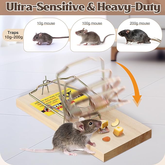 12 Pack Large Wooden Mouse Traps, Heavy Duty Rat Snap Traps with Metal Pedal, Sturdy Reusable Mousetraps for Fast Capture of Large Rats & Rodents, Safe for Indoor & Outdoor Use