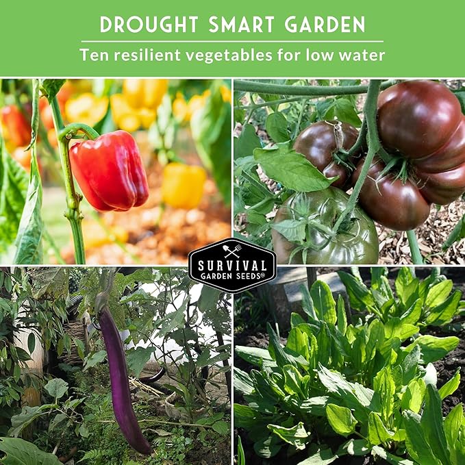 Heat & Drought Tolerant Vegetable Seeds Collection - 10 Variety Pack for Hot Climates & Dry Conditions - Heirloom Non-GMO Varieties for Southern, Texas & Zone 7-10 Gardens - Survival Garden Seeds