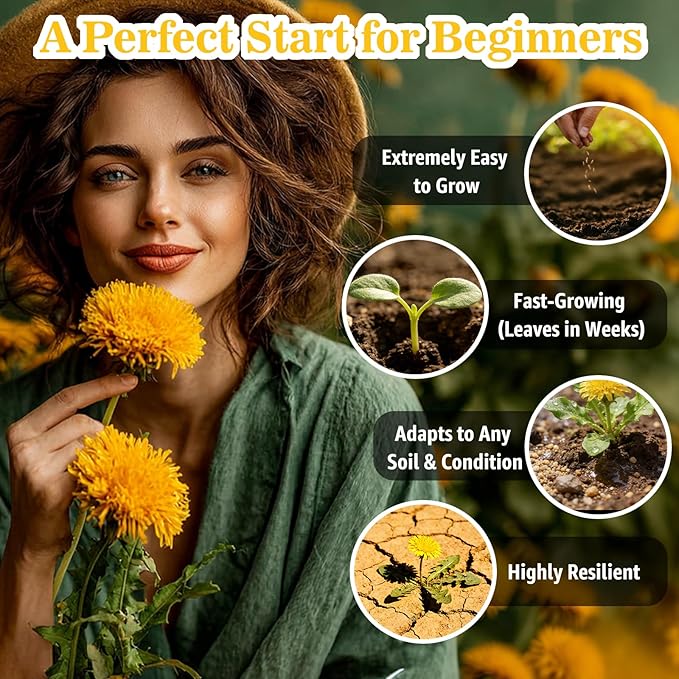 Dandelion Seeds (0.18oz - 5000+ Seeds) - Heirloom Taraxacum officinale - Non-GMO Edible Herb for Planting - Medicinal Roots, Leaves & Flowers - Pollinator-Friendly Perennial for Garden