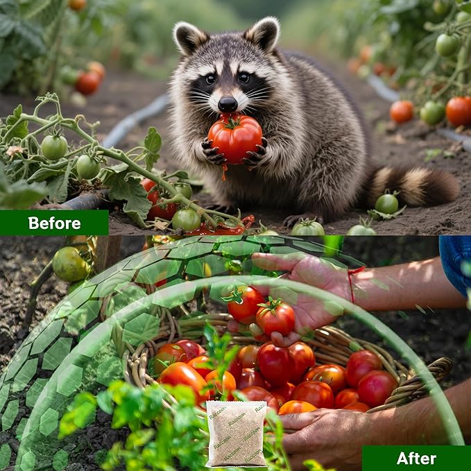 12 Pack Skunk Repellent Outdoor - Natural Raccoon Repellent Balls for Yards, Gardens, Keep Raccoon Away with Humane & Odorless, Raccoons Deterrent Long-Lasting Granules Safe for Pets & Kids