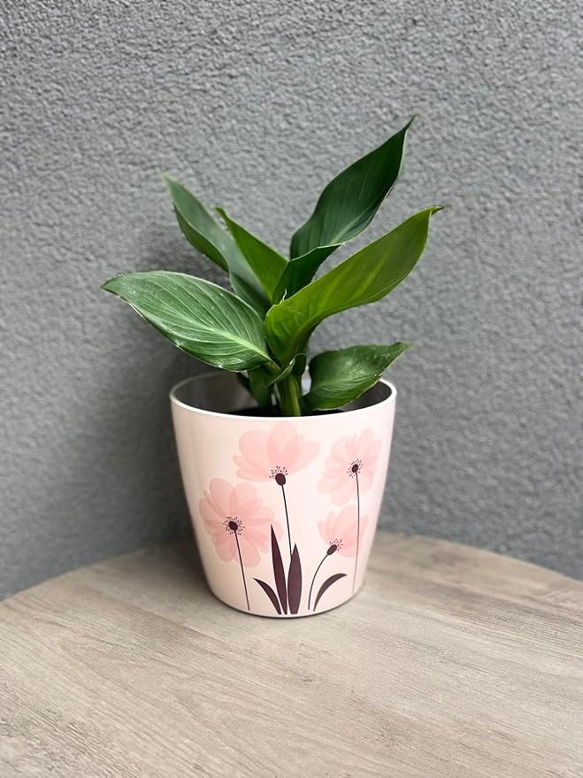 7” Self-Watering Pot – Eco-Friendly Bamboo Planter, Biodegradable & Plastic-Free, Indoor/Outdoor Plant Pot with Built-in Water Well for Healthy Root Growth