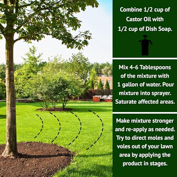 Nature's MACE Mole and Vole Mace, Mole Deterrent for Yard, 32 oz, Pure Castor Oil, Mole Repellent for Lawns, Stop Tunneling, Mole Remover Treatment, Castor Oil Repellent, People, Pet, Plant Safe