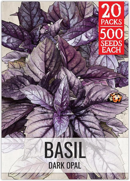 Seed Needs Opal Basil Seeds for Planting Red Basil Plants - Non-GMO Heirloom & Untreated Herb Seeds to Plant an Indoor or Outdoor Culinary Kitchen Garden (20 Packs)