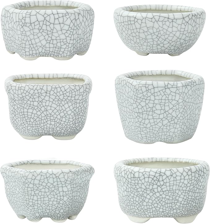 Bonsai Planter 1.8 inch (4.5cm) Mini Succulent Glazed Pots Set of 6 Gray White