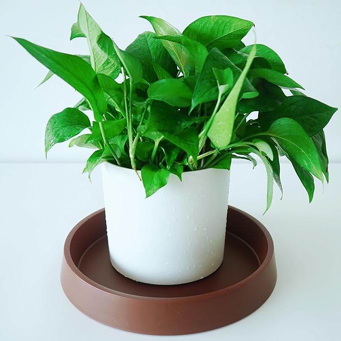 Plant Saucer Tray for Ceramic Plastic Pots, 12 inch Plant Saucers for Indoors, Pot Saucers Trays, Bird Bath Bowls, Flower Planter Water Drip Trays for Pots Base (12", Brown)
