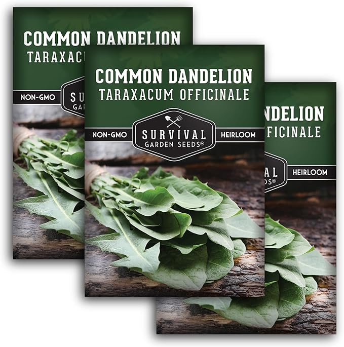 Survival Garden Seeds Common Dandelion Seed - 3 Packets with Instructions to Plant & Grow Nutritious Medicinal Plants & Leafy Greens in Your Home Herb or Vegetable Garden - Non-GMO Heirloom Variety