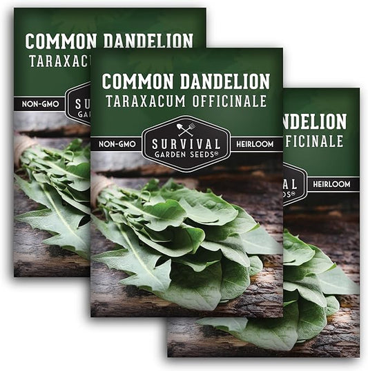 Survival Garden Seeds Common Dandelion Seed - 3 Packets with Instructions to Plant & Grow Nutritious Medicinal Plants & Leafy Greens in Your Home Herb or Vegetable Garden - Non-GMO Heirloom Variety