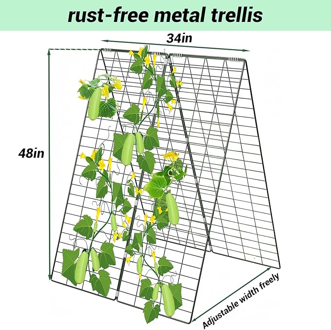 Metal Trellis for Climbing Plants Outdoor Garden Trellis,Cucumber Trellis,Tomato Plant Support/Squash/Zucchini/Sweet Peatrellis,Green Bean/Grape/Vine/Flower Plant Trellis (2 Pack)