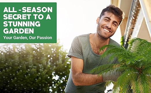 Gardenwise 8-4-8 Professional Palm Tree Fertilizer Plant Food; for Indoor Potted Plants and Outdoor Landscape Palm Trees; Quick-Release Nitrogen Fertilizer and Continuous Feeding (3 QUARTS)