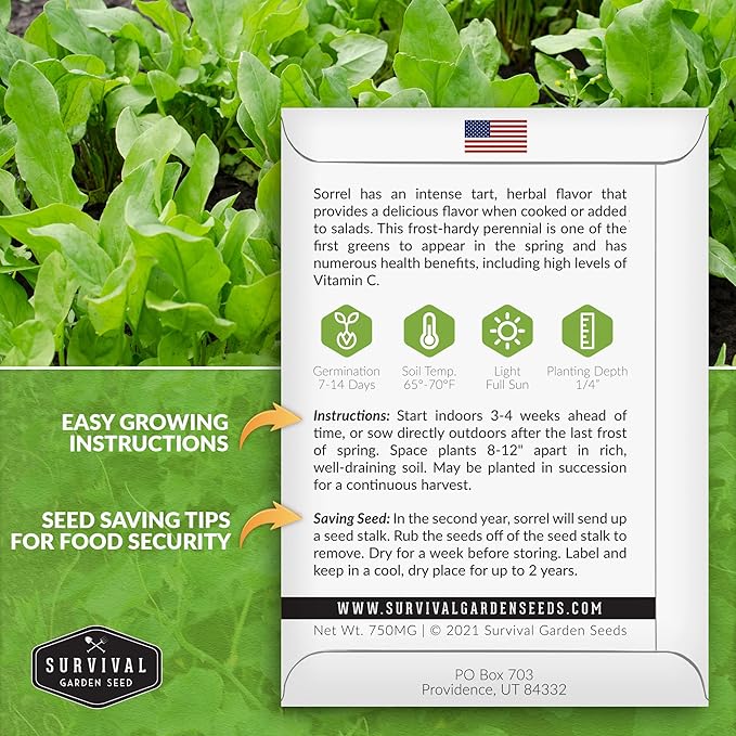 Sorrel Seeds for Planting - Large Leaf Garden Sorrel - Cool Weather Perennial Vegetable for Edible Leafy Greens - Heirloom Non GMO - Survival Garden Seeds (3 Packs)