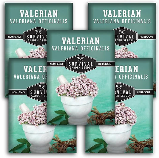 Survival Garden Seeds - Valerian Seeds for Planting - 5 Packets with Instructions to Plant and Grow Medicinal Herb Valeriana Officinalis in Your Home Herb Garden - Non-GMO Heirloom