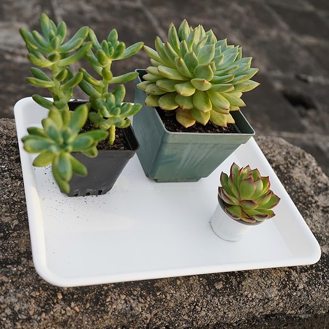 VUWEZ 2 Pack Plant Growing Nursery 1020 Trays, Heavy Sturdy Seed Starting Saucer, No Holes Starter Tray for Indoors (22"x11.2", Creamy White)
