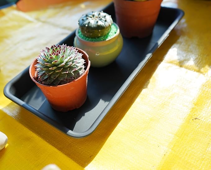 VUWEZ 2 Pack Plastic Plant Tray Saucer, Rectangular, Indoors Outdoor, Water Drip Tray for Flower Pot Planter, Windowsill (6.5 X 13 Inch, Black)