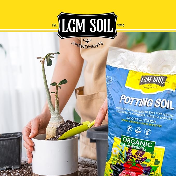 Soil All-Purpose Potting Soil Mix - Organic Houseplant Soil - Natural Potting Mix for Indoor & Outdoor Plants - Potting Soil for Gardening - Ideal for Rooting Cuts & Germinating Seeds (0.5 Cu Ft)