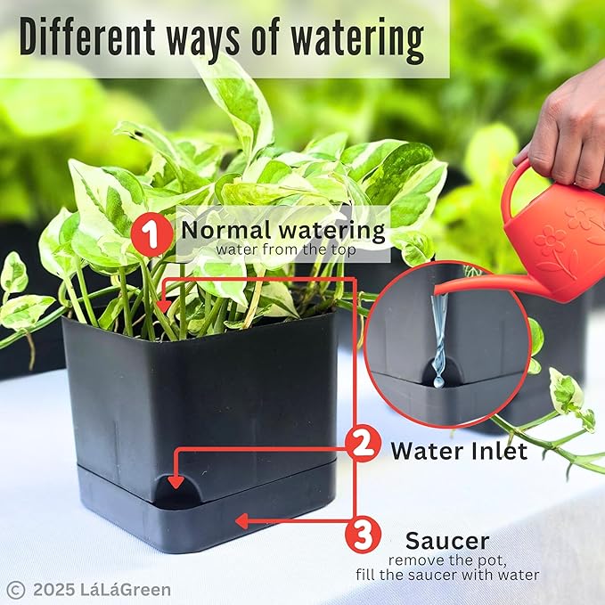 LaLaGreen Planters for Indoor Plants (7 Pack) Self-Watering System Black Window Box Planter, Rectangular Plastic Flower Boxes Herb Garden Long Windowsill Plant Pot with Drainage Modern Stylish Outdoor