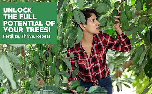 Gardenwise 6-4-6 Avocado and Citrus Tree Professional Fertilizer Plant Food for Outdoor/Indoor Gardening; Quick-Release Nitrogen Fertilizer; Orange, Lime, Avocado and Lemon Tree Fertilizer (1 Quart)