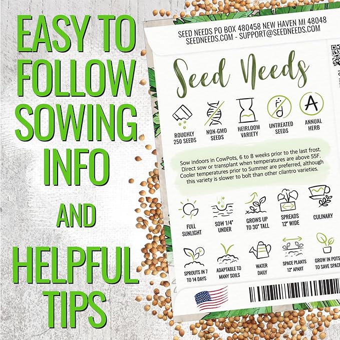 Seed Needs Cilantro Seeds for Planting Coriander Kitchen Herbs - Non-GMO Heirloom & Untreated - Grow a Home Grown Herb Garden Indoors or Outdoors (1 Pack)