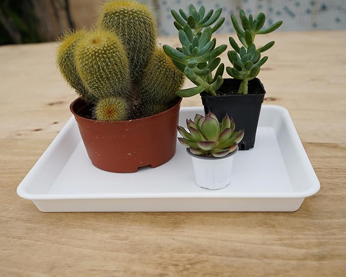 VUWEZ 4 Pack Plant Saucer Tray Rectangular, Plant Saucers for Indoors, Heavy Sturdy Plastic Plant Drainage Trays, Plant Drip Trays for Pots, Seed Starter Growing Tray (11 x 9, Creamy White)
