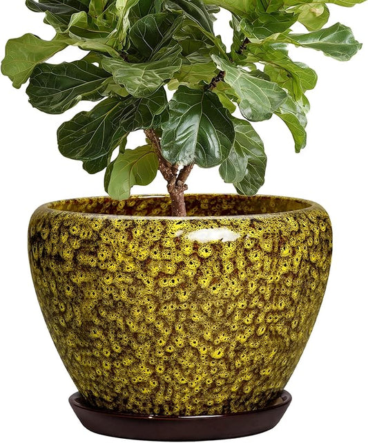 10 Inch Ceramic Pots for Plants - Indoor Plant Pots with Drainage Hole and Saucer, Round Planters for Outdoor Plants, Modern Large Planter, Garden Decor, Gifts for Gardeners, Yellow Leopard
