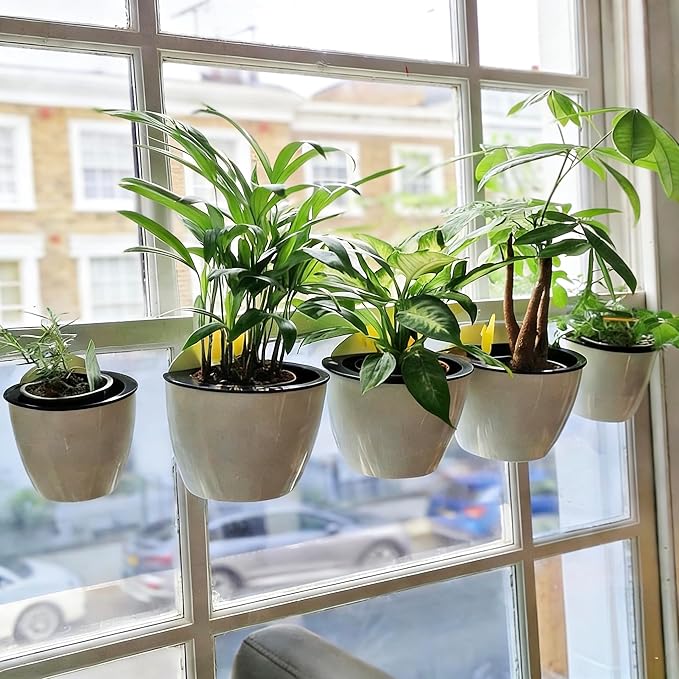 6 Pack White Hanging Planter Pots Self Watering Vertical Garden Wall Mount Window Hang Round Plastic Container Indoor Outdoor for Plants Flowers Succulent Kitchen Living Herbs Holder Decor(Large)