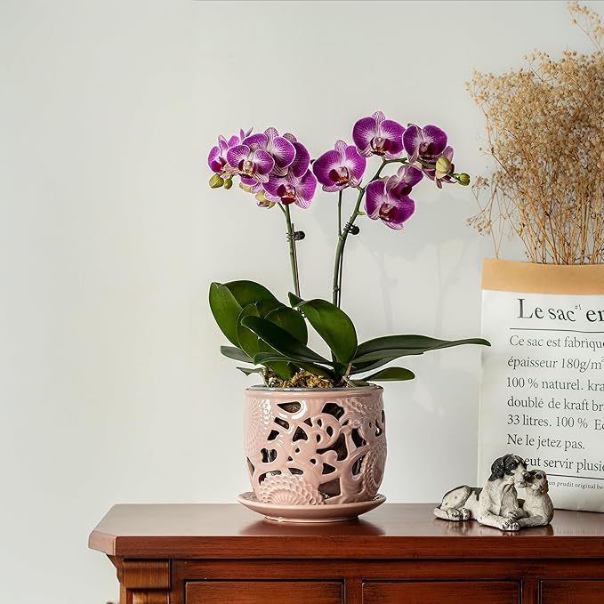 HERDUK Ceramic Orchid Pot, Orchid Pots with Drainage Holes & Saucer 6.5 Inch,Orchid Pot for Repotting Indoor, Orchid Containers with Precise Aeration & Drainage