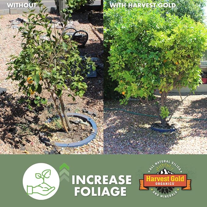 Organic Soil Conditioner, Natural Soil Amendment for Houseplants, Flowers, Lawns, Gardens and Trees, Provides Natural Silica and Micronutrients for Plants (15 Pound Bag)