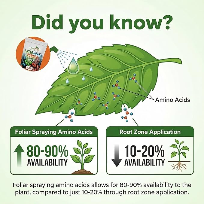 Amino Power Powder Nitrogen Fertilizer - Plant Based High Nitrogen Fertilizer for Plants - All Natural Nitrogen Source and chelating Agent - Suitable for Turf, Vegetables, Fruits & Berries
