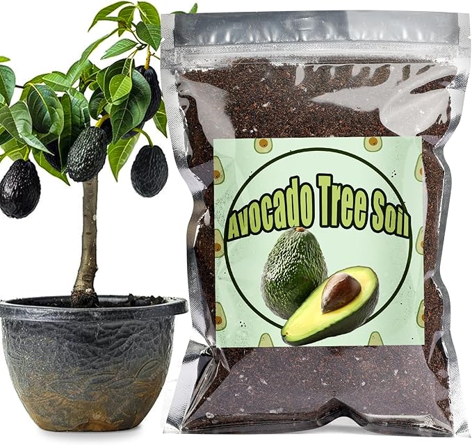 Organic Avocado Tree Potting Soil Mix 2qt, Enhance Growth and Transplant Success for Avocado Plants