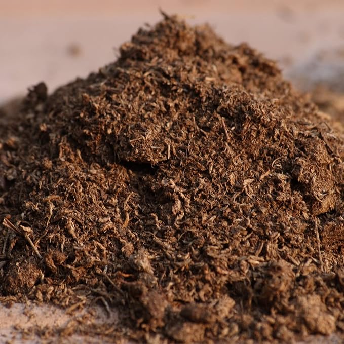 Doter Organic Sphagnum Peat Moss, Added to Soil and Enriches Plant Roots, Gardening Soil Amendment and Carnivorous Plant Soil Media(2qt)
