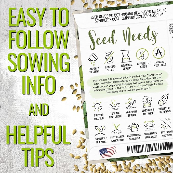Seed Needs Cucamelon Seeds for Planting Mexican Sour Gherkin Miniature Mouse Melons - Non-GMO Heirloom & Untreated - Grow a Home Grown Indoor Outdoor Vegetable Garden (1 Pack)
