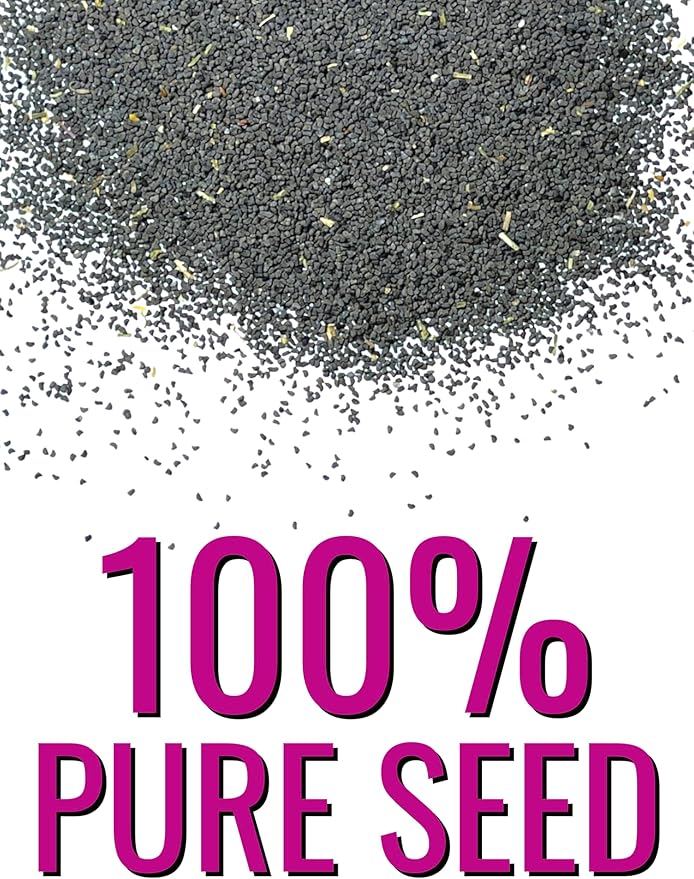 Seed Need, Fairy Bouquet Snapdragon Seeds for Planting Linaria maroccana - Heirloom & Open Pollinated Annual Flowers to Attract Pollinators to a Butterfly Garden (XL Pack)