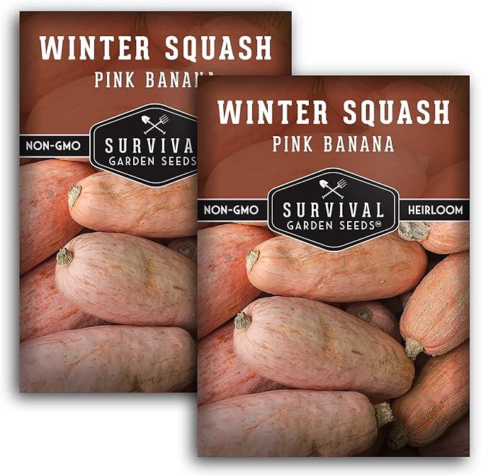 Survival Garden Seeds - Pink Banana Winter Squash Seed for Planting - 2 Packs with Instructions to Grow Winter Vegetables in Your Home Vegetable Garden - Non-GMO Heirloom Variety