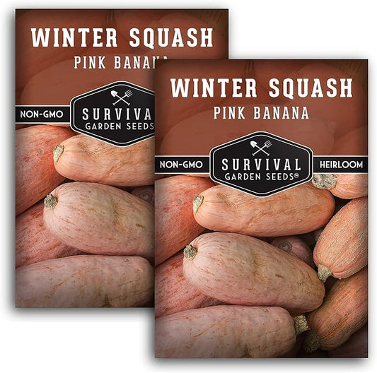 Survival Garden Seeds - Pink Banana Winter Squash Seed for Planting - 2 Packs with Instructions to Grow Winter Vegetables in Your Home Vegetable Garden - Non-GMO Heirloom Variety