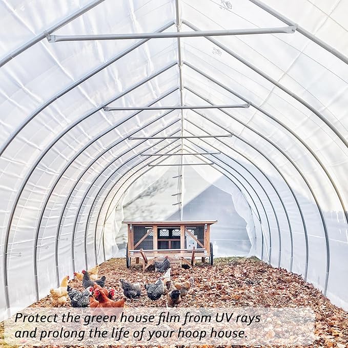 6 Mil Clear Greenhouse Plastic Sheeting,Transparent Plastic Film for Greenhouse, Resistant Polyethylene Film for Farm,Garden (6.5ftx19.7ft)