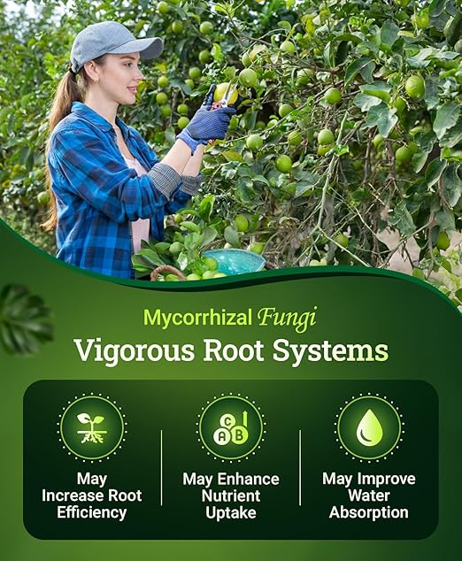 FoxFarm Happy Frog Citrus and Avocado Fertilizer- OMRI Listed Citrus Fertilizer, Slow-Release Nitrogen, Calcium & Sulfur for Citrus & Avocado Trees - 4 lb